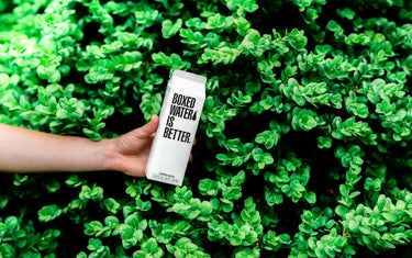 Sustainability in E-commerce: Meeting Consumer Demand for Eco-Friendly Products