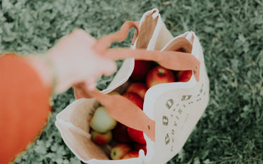 The Rise of Sustainable Ecommerce Practices