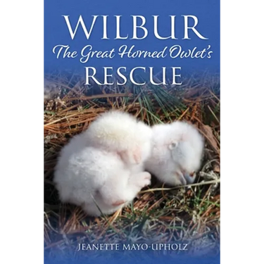 Wilbur: The Great Horned Owlet's Rescue