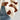 00c274f6-e456-414b-b8c0-69dc1c9e8ab6-Max