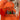 01167e5381b944c89eb0a9b53b8e4d78-Max
