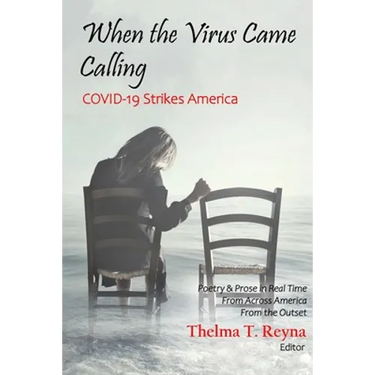 When the Virus Came Calling: COVID-19 Strikes America