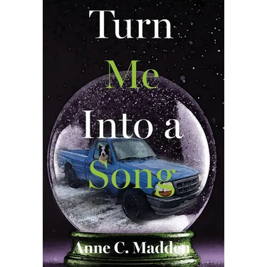 Turn Me Into a Song