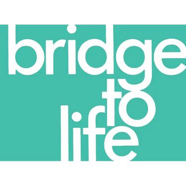 Bridge to Life (Green) 25-Pack