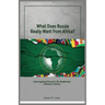 What does Russia really want from Africa? Interrogating Russia's re-awakened interest in Africa