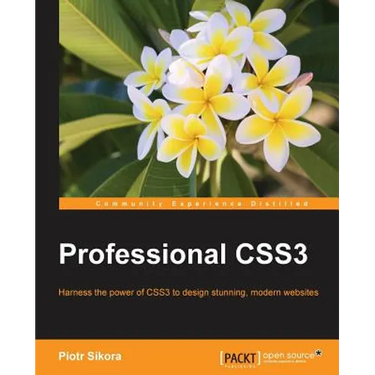 Professional CSS3