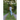 Growing a Runner