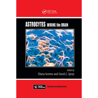 Astrocytes: Wiring the Brain