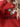 03916f0bcd0041f495cb1663b2c5c98b-Max