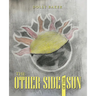 The Other Side of the Sun