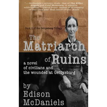 The Matriarch of Ruins: A Novel of Civilians and the Wounded at Gettysburg