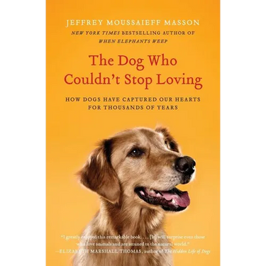 The Dog Who Couldn't Stop Loving