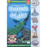The Mystery of the Graveyard of the Atlantic