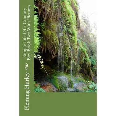 Simple Life Of a Country Boy Book Two With Pictures