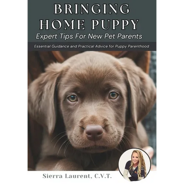 Bringing Home Puppy: Expert Tips for New Pet Parents: Essential Guidance and Practical Advice for Puppy Parenthood