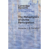 The Metaphysics of Divine Participation