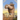 Once Upon a Camel