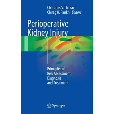 Perioperative Kidney Injury: Principles of Risk Assessment, Diagnosis and Treatment