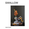 Swallow