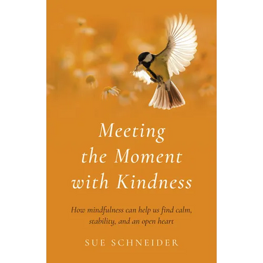 Meeting the Moment with Kindness