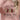 0829f326c3224fbfbb7a814896acc468-Max