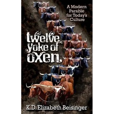 Twelve Yoke of Oxen