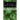 The Devil's Elixir Complete