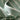 09b6fe52-ec93-47f2-a346-31937617b06b-Max
