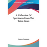 A Collection Of Specimens From The Teton Sioux