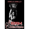 A BDSM Collection