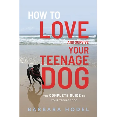 How to Love and Survive Your Teenage Dog