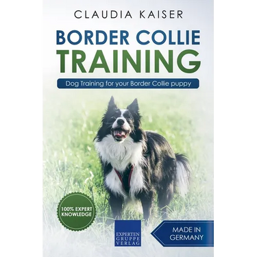 Border Collie Training - Dog Training for your Border Collie puppy