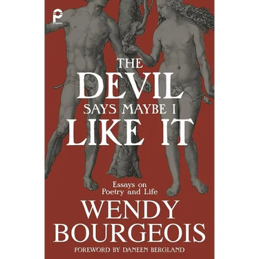 The Devil Says Maybe I Like It: Essays on Poetry and Life