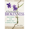 A Spirituality for Brokenness: Discovering Your Deepest Self in Difficult Times