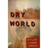 Dry World