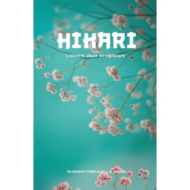Hikari: Lights and Shadows
