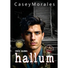 Hallum: A romantic mm historical spy thriller