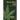 Miraculous CBD: The Essential Guide