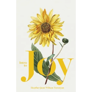 Intro to Joy