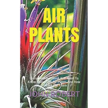 Air Plants: Every Detailed Thing You Need To Know About The Air Plants And How To Care For Them