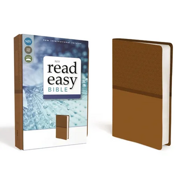 NIV Readeasy Bible