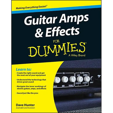 Guitar Amps & Effects FD