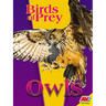 Owls