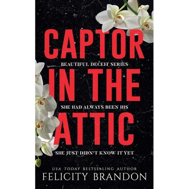 Captor In The Attic