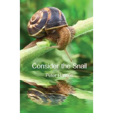 Consider the Snail