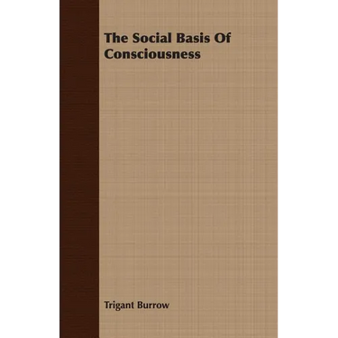 The Social Basis Of Consciousness