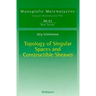 Topology of Singular Spaces and Constructible Sheaves