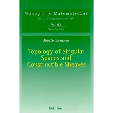 Topology of Singular Spaces and Constructible Sheaves