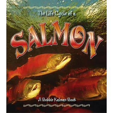 Salmon