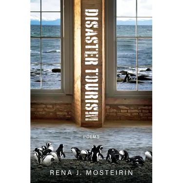 Disaster Tourism